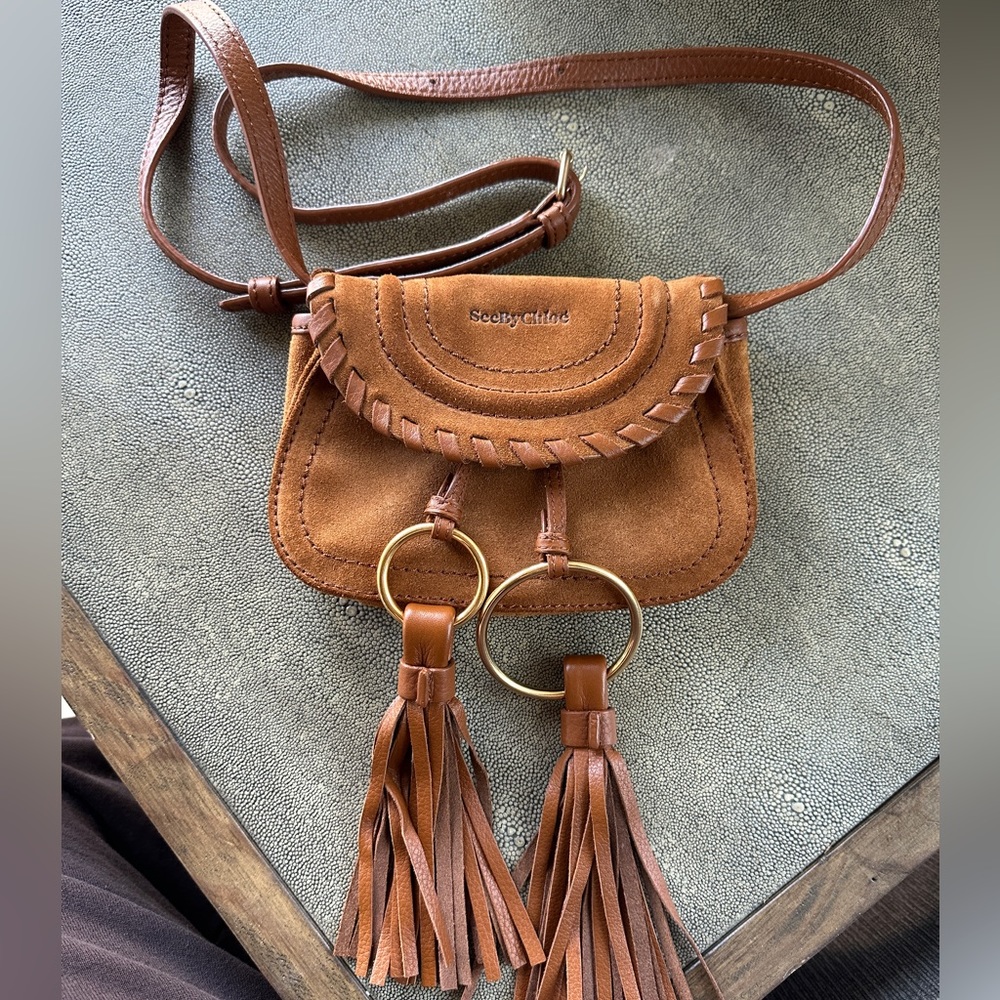 See by Chloe bag - mini bag - super cute